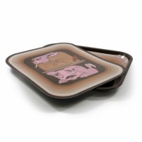 RAW Fish Magnetic Tray Cover